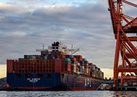 Ship docking